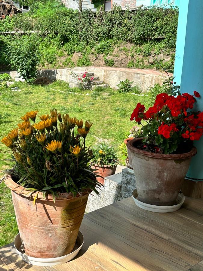 Jal-Vayu Cottages Manāli Екстериор снимка