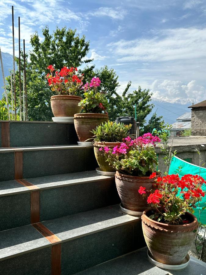 Jal-Vayu Cottages Manāli Екстериор снимка